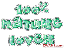 zwani.com myspace graphic comments
