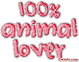zwani.com myspace graphic comments