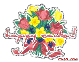 zwani.com myspace graphic comments