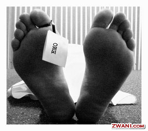 zwani.com myspace graphic  <center><a href=