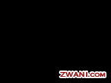 zwani.com myspace graphic comments