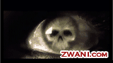 zwani.com myspace graphic comments