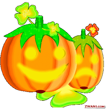 zwani.com