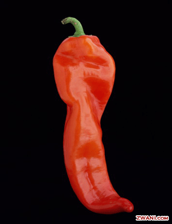 ZWANI.com - The place for myspace comments, glitters, graphics, backgrounds and codes