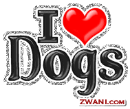 zwani.com myspace graphic comments