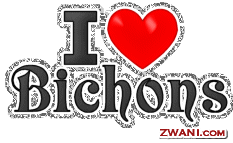 zwani.com myspace graphic comments