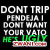 zwani.com myspace graphic comments